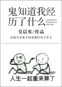 《鬼知道我经历了什么》